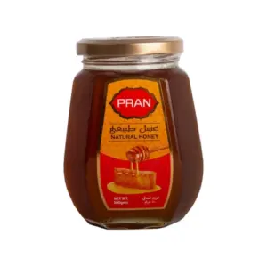 Pran Natural Honey 500gm